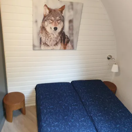 بيت للعطل Iglo 36 *